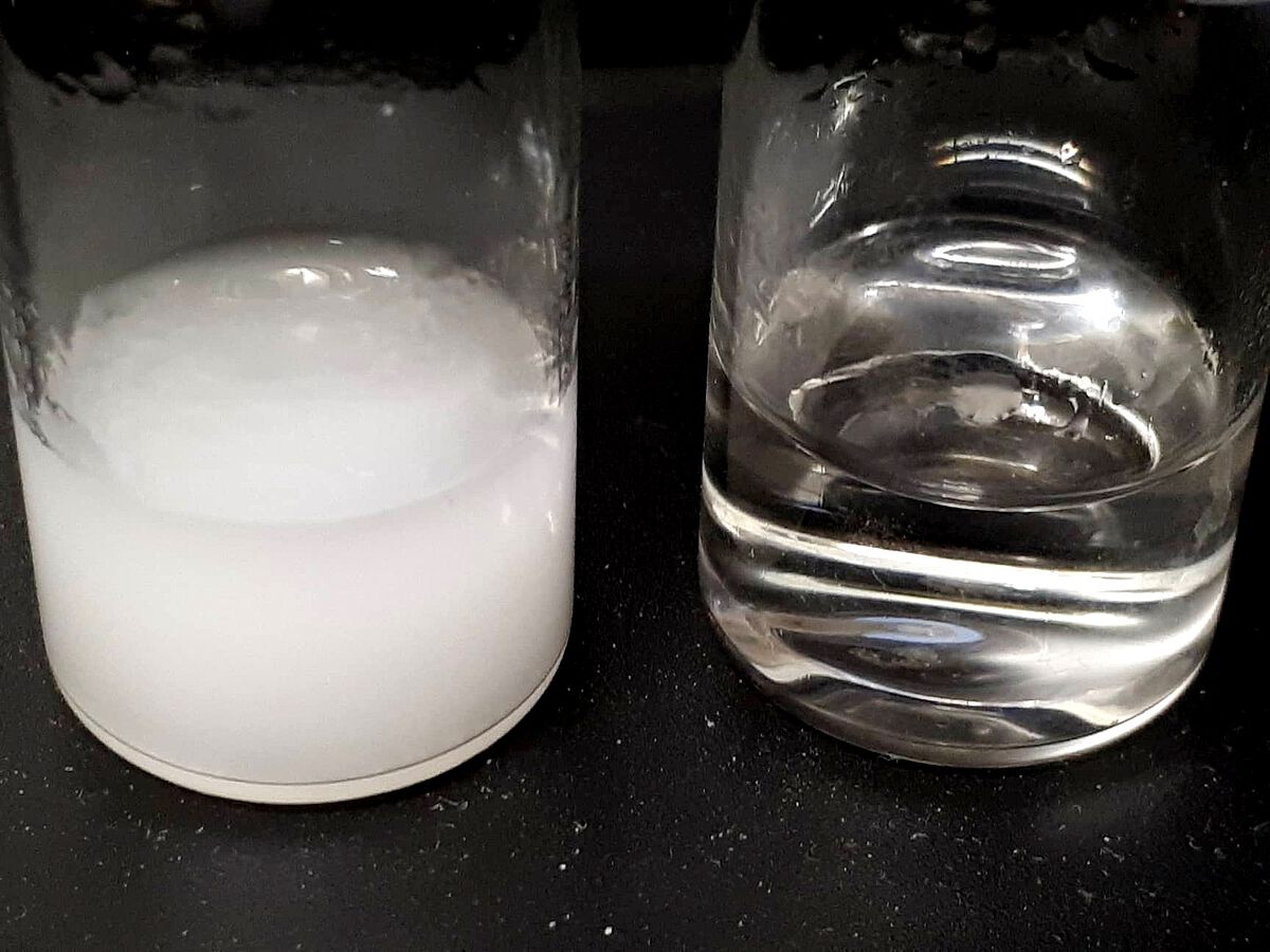 Vorher-Nachher-Wasserreinigung (Foto: Archismita Misra / Universität Ulm): links im Bild ein Behälter mit Wasser, das mit Mikroplastik-Partikeln verschmutzt ist, rechts das „saubere“ Wasser, das mithilfe magnetischer Nanopartikel gereinigt wurde