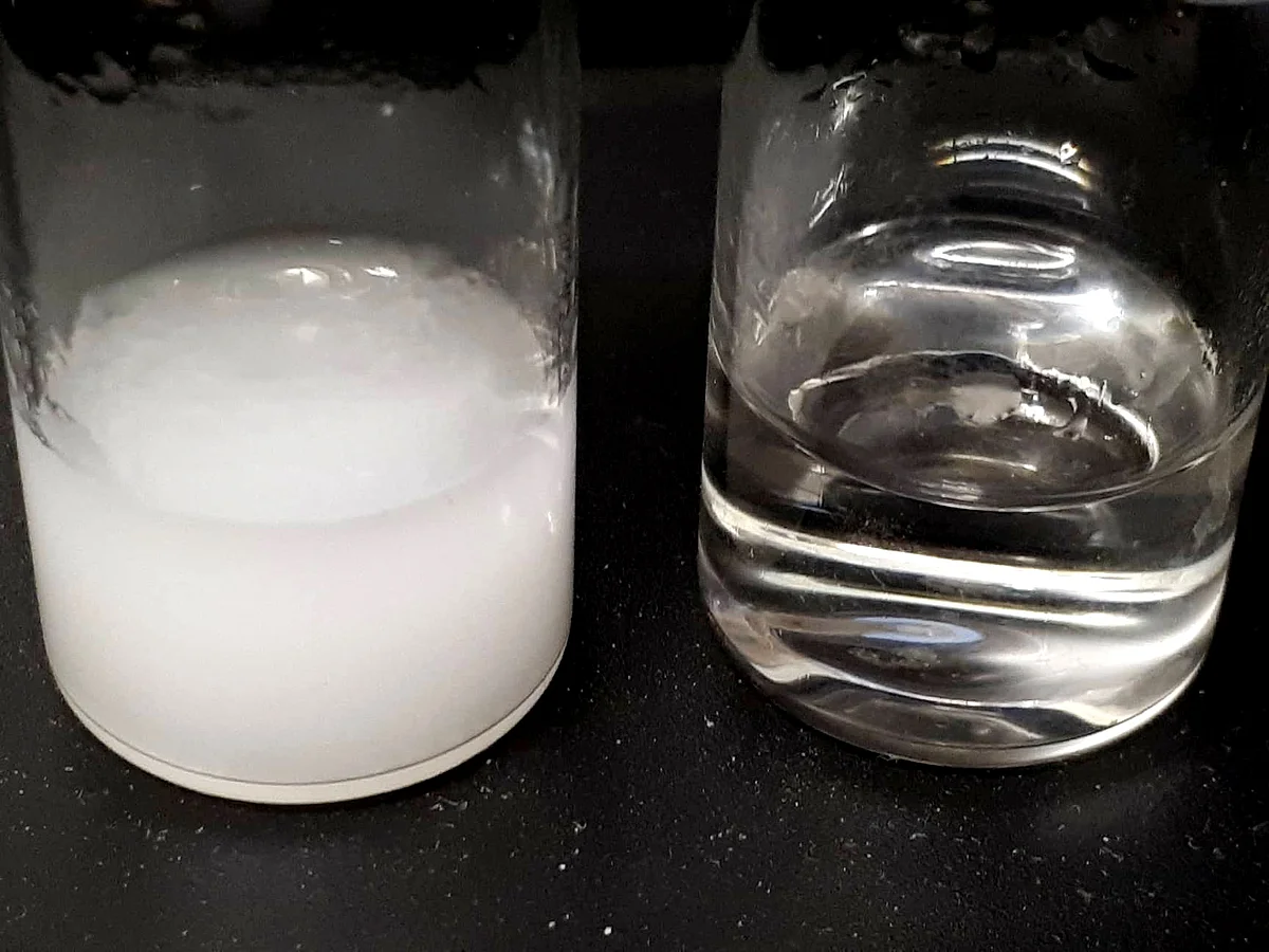 Before-and-after of water purification (Photo: Archismita Misra / Ulm University): on the left, a container with water that is contaminated by microplastic particles. On the right, the “purified water”, which has been cleaned by nanoparticles