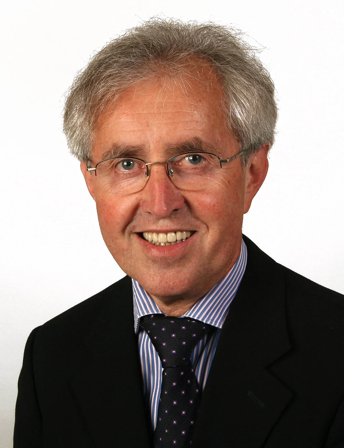 Prof. Karl Joachim Ebeling
Prof. Gerlinde Fellner
Prof. Gerhard Rettinger