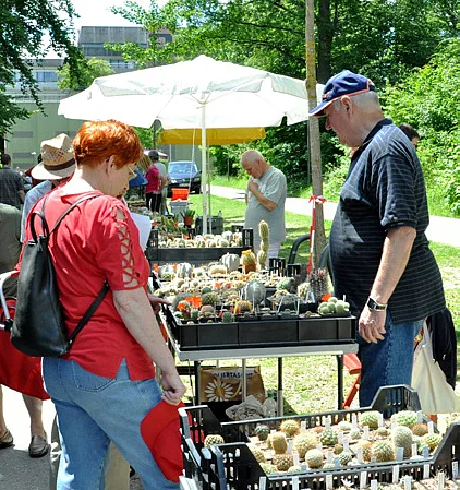 Sommerfest im Botanischen Garten (Foto: Uni Ulm)