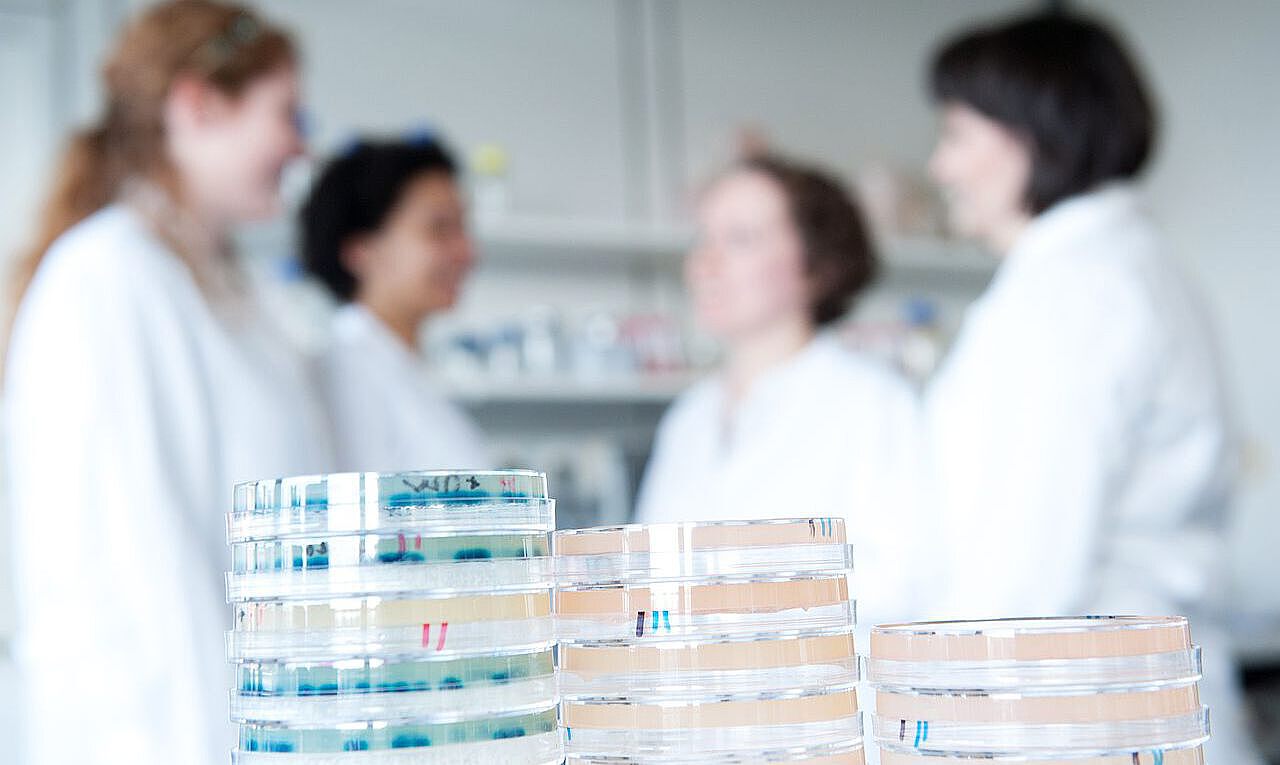 Petrischalen Wachstumsmedien mit Wissenschaftlerinnen im Hintergrund
