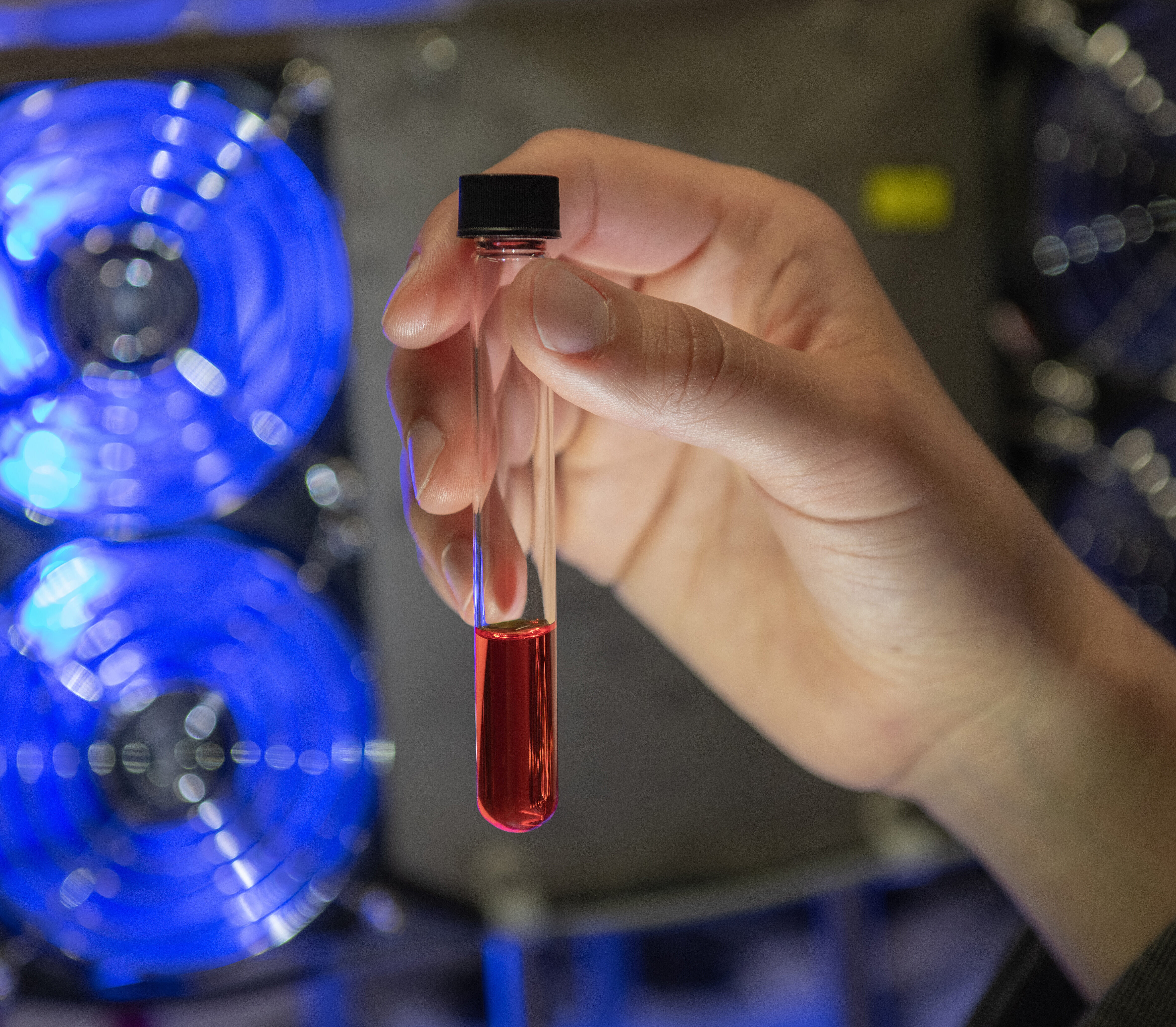 Hand hält Probenröhrchen mit roter Flüssigkeit 