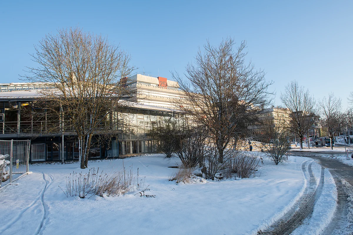 Ulm University