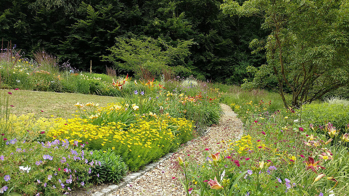 Tagliliengarten des Botanischen Gartens 