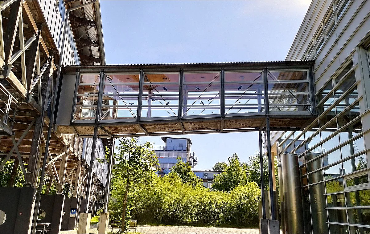 bridge Ulm University