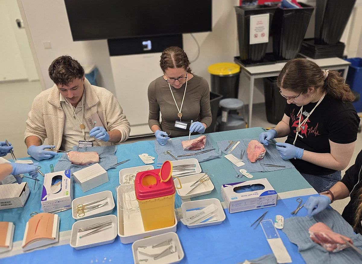 Workshop Gipsen und Nähen von Wunden 
