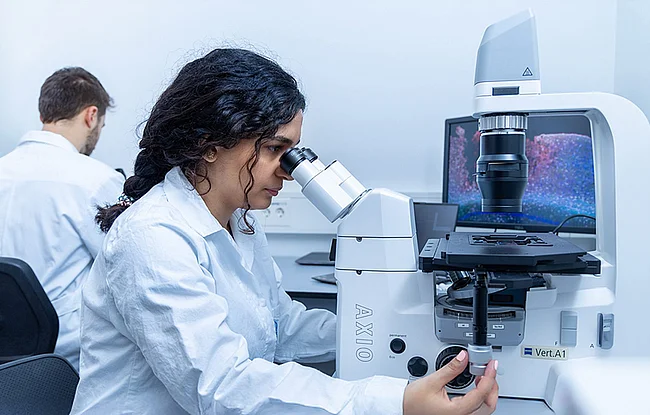 Molecular and Translational Neuroscience
