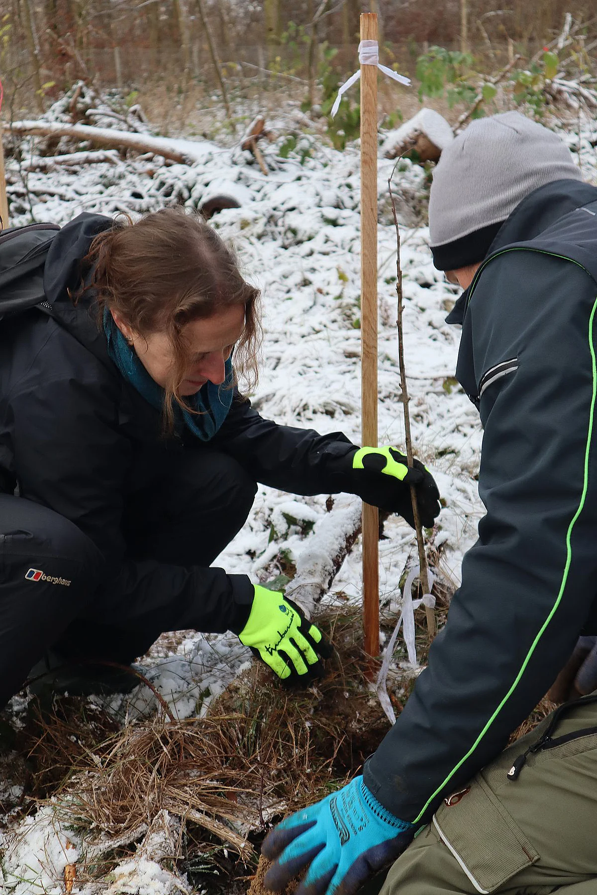 Prof Emma Sayer plants a tree