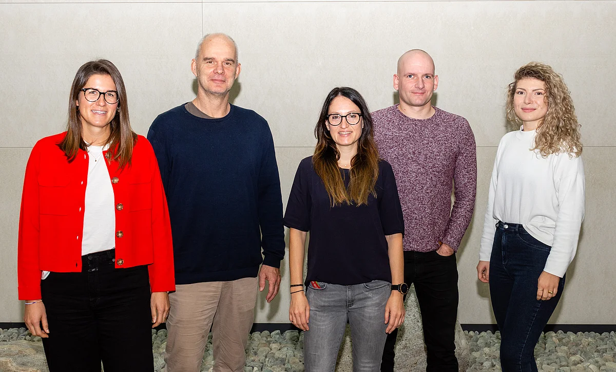 Ulmer Forschende des deutsch-amerikanischen Projektteams 