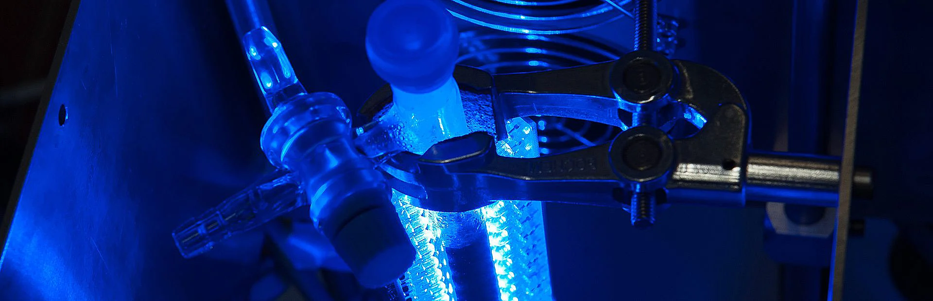 Forschung zur innovativen Gewinnung von grünem Wasserstoff