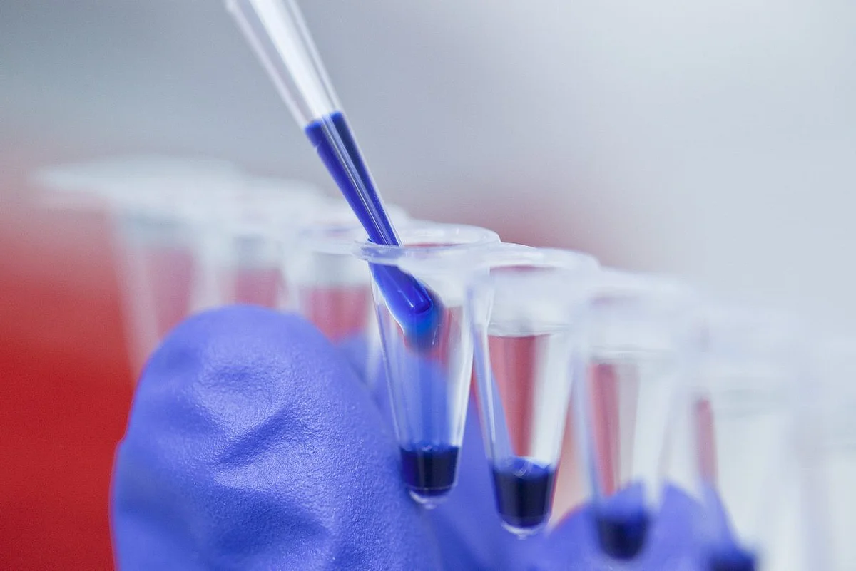 Pipettierarbeiten im Labor des Instituts für Molekulare Medizin 