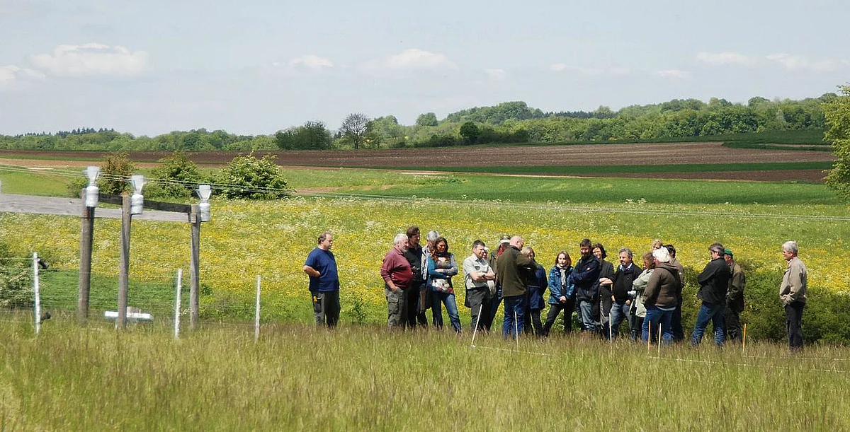 Forscher stellen die Versuchsflächen vor 