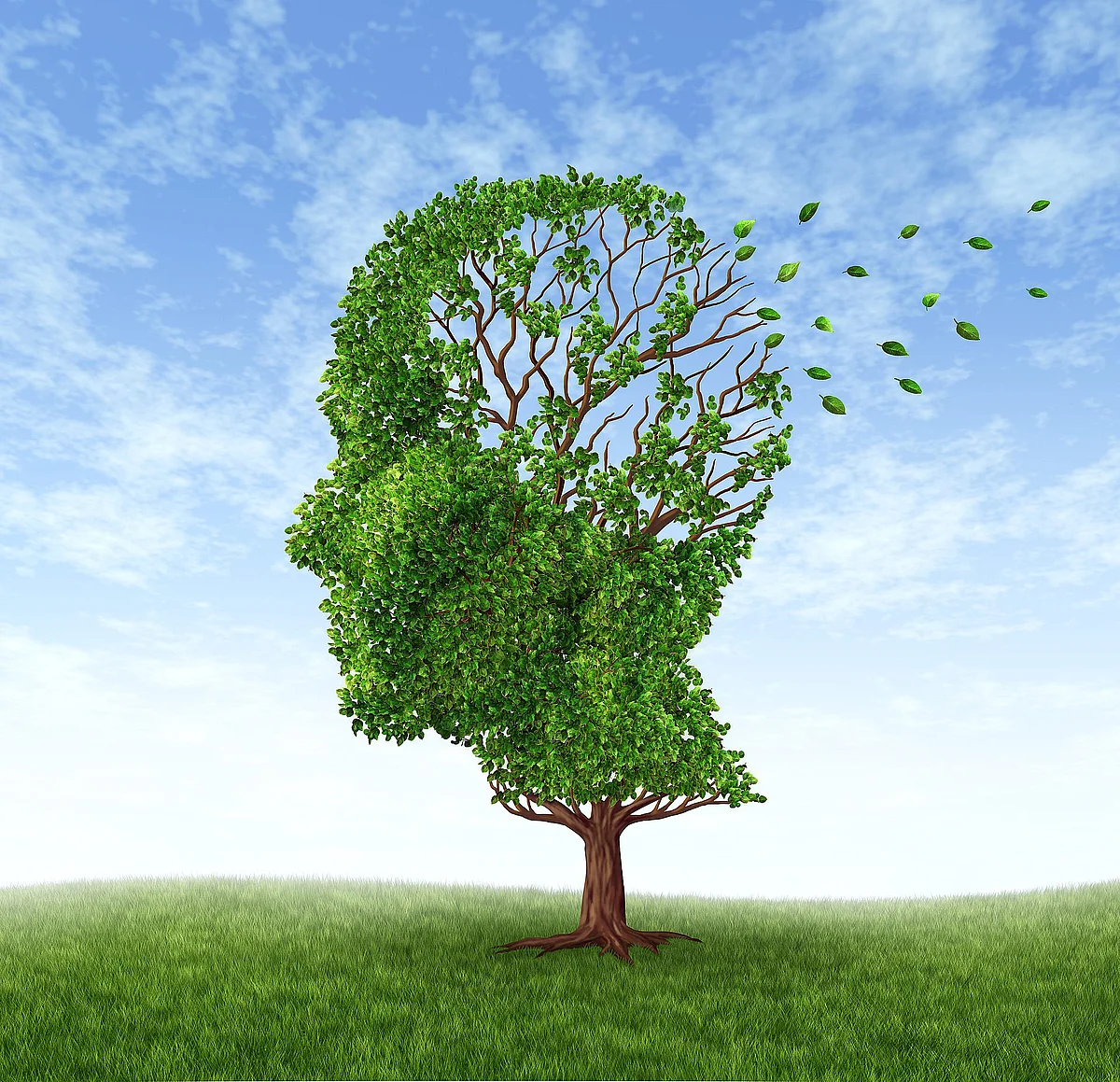 Baum in Form eines menschlichen Gesichts, das die Blätter verliert 