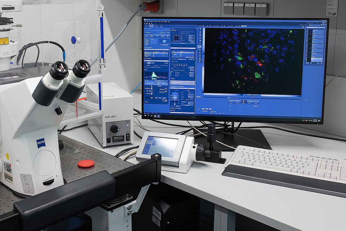 Apparatur zur konfokalen Mikroskopie visualisiert Virus-infizierte Zellen