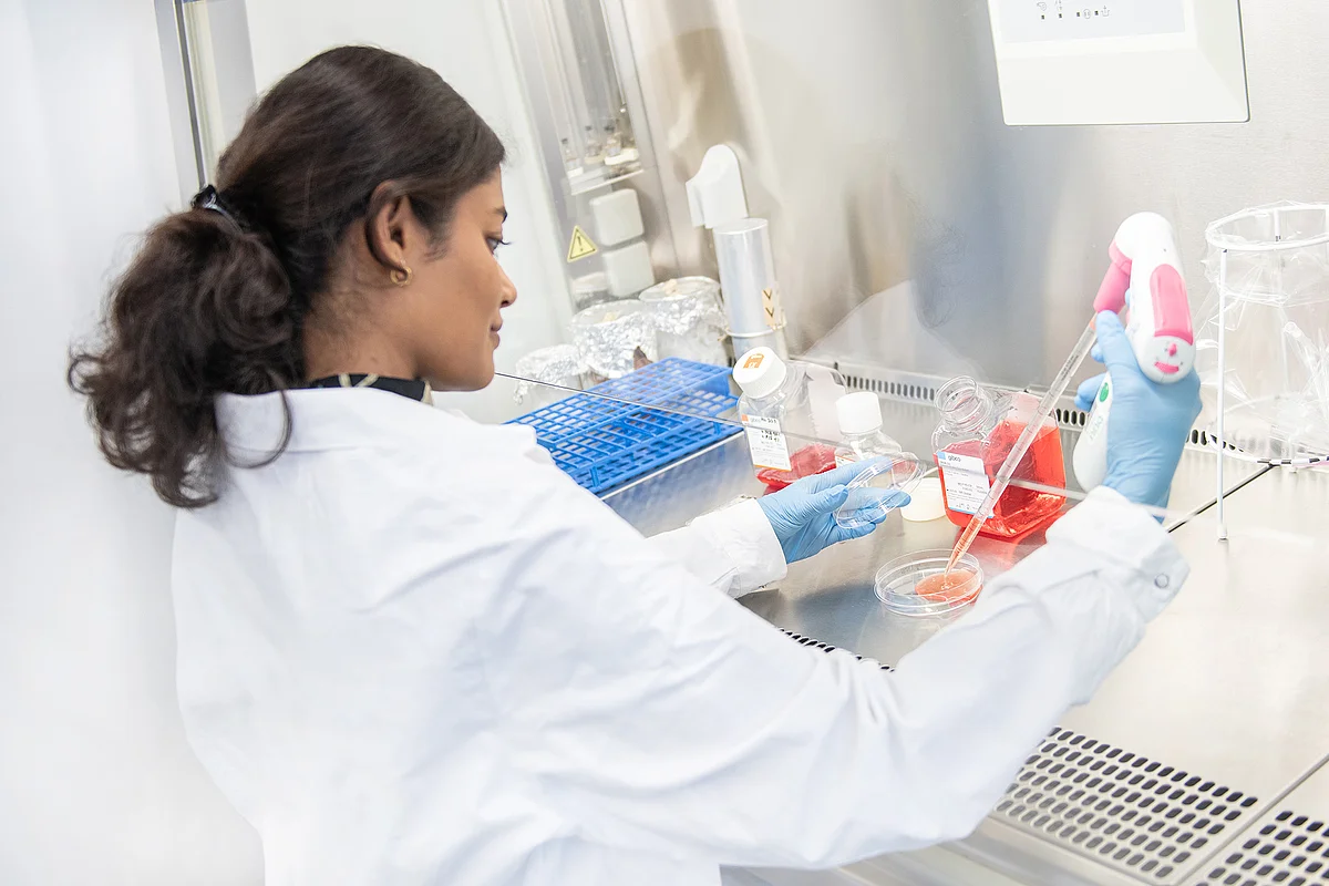 A researcher from the Ulm Institute for Molecular Medicine