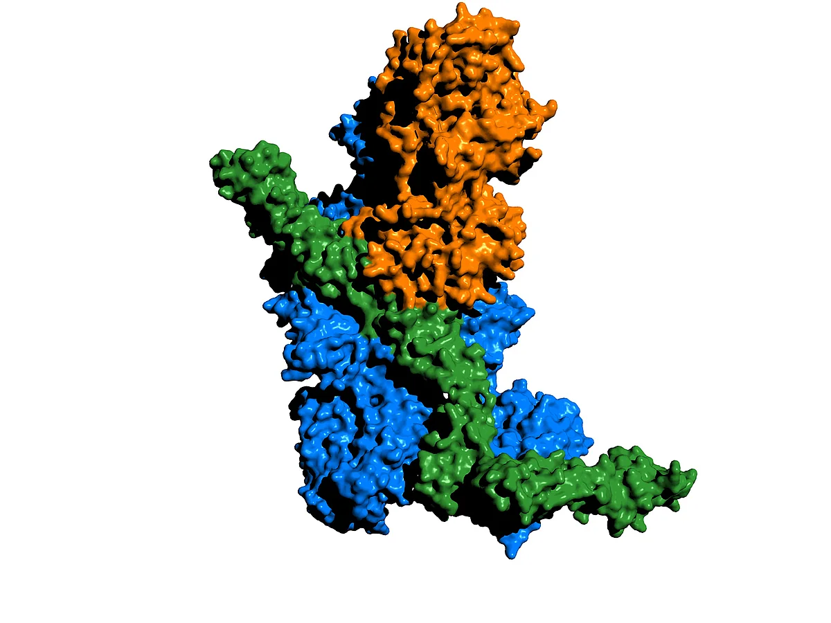 crystalline structure