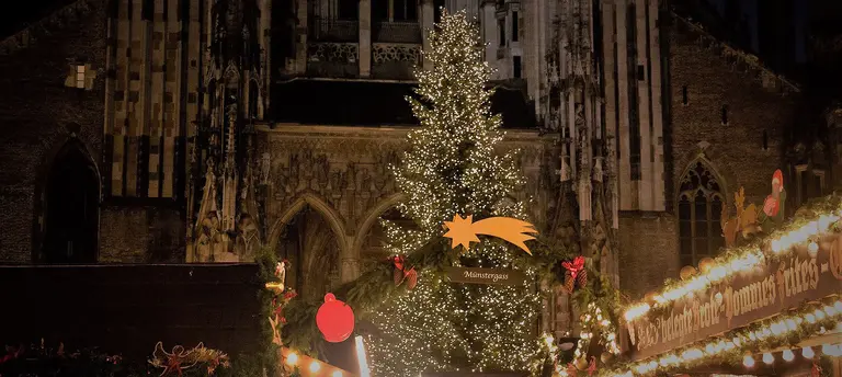 Christmas Market Ulm with munster