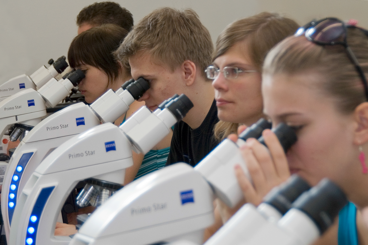 Mikroskopieren im Kurs Histo-Kursteilnehmerinnen am Mikroskop