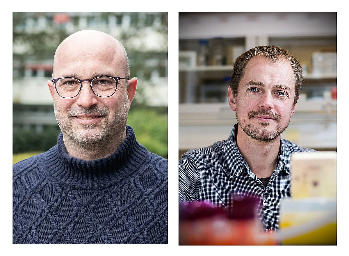  Prof. Jan Münch und Prof. Alexander N. Zelikin 