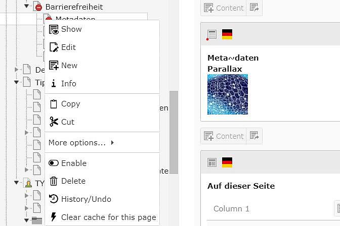 Screenshot aus dem TYPO3-Backend zeigt eine weitere Möglichkeit wie Seitentitel verändert werden Screenshot aus dem TYPO3-Backend zeigt eine weitere Möglichkeit wie Seitentitel verändert werden