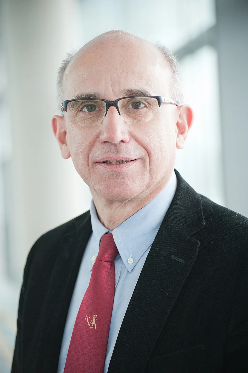 Prof. Hartmut Döhner