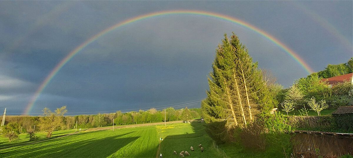 Regenbogen in Wangen/Illerrieden (Foto © Anna Aubele)