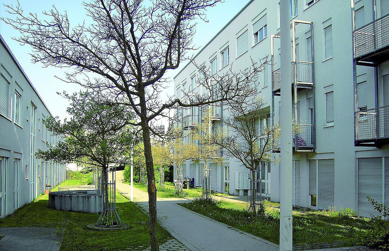 Ansicht eines Wohnblocks an einem sonnigen Tag. Im Vordergrund kleinere Bäume im Schatten.