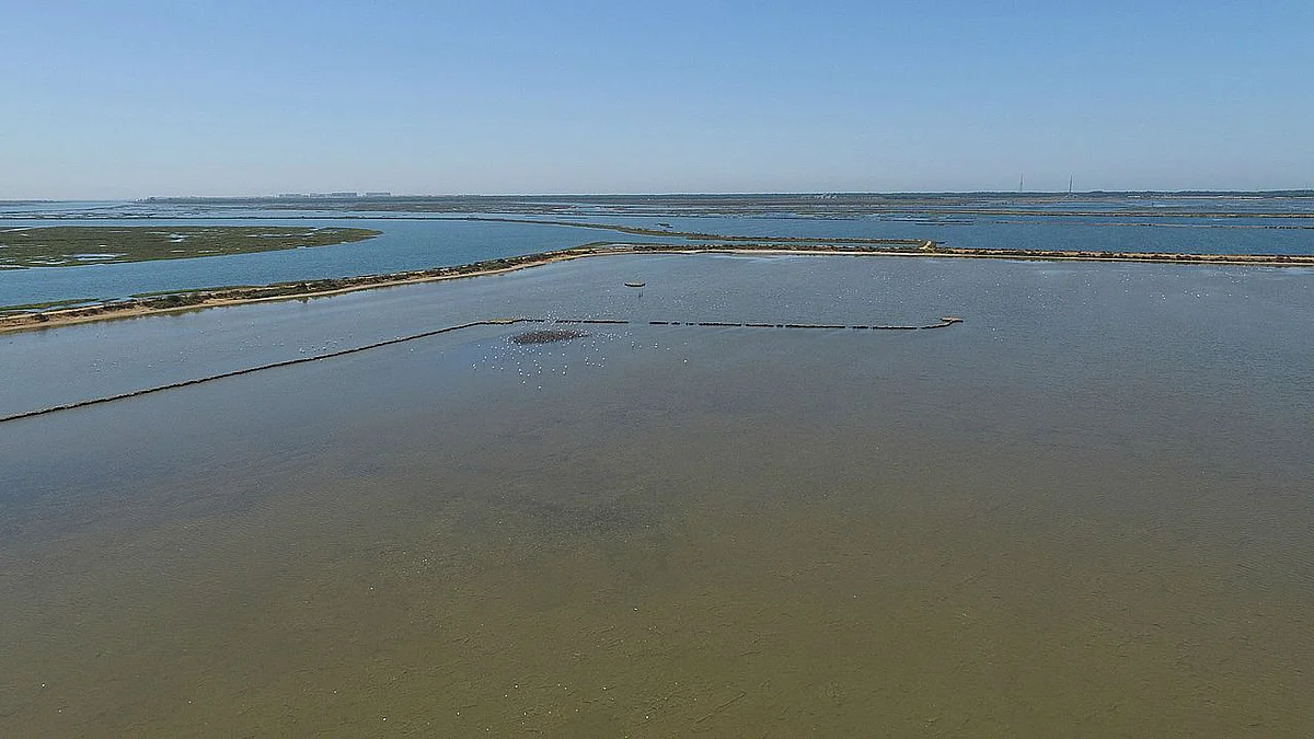 Marschland an der Odiel-Mündung 