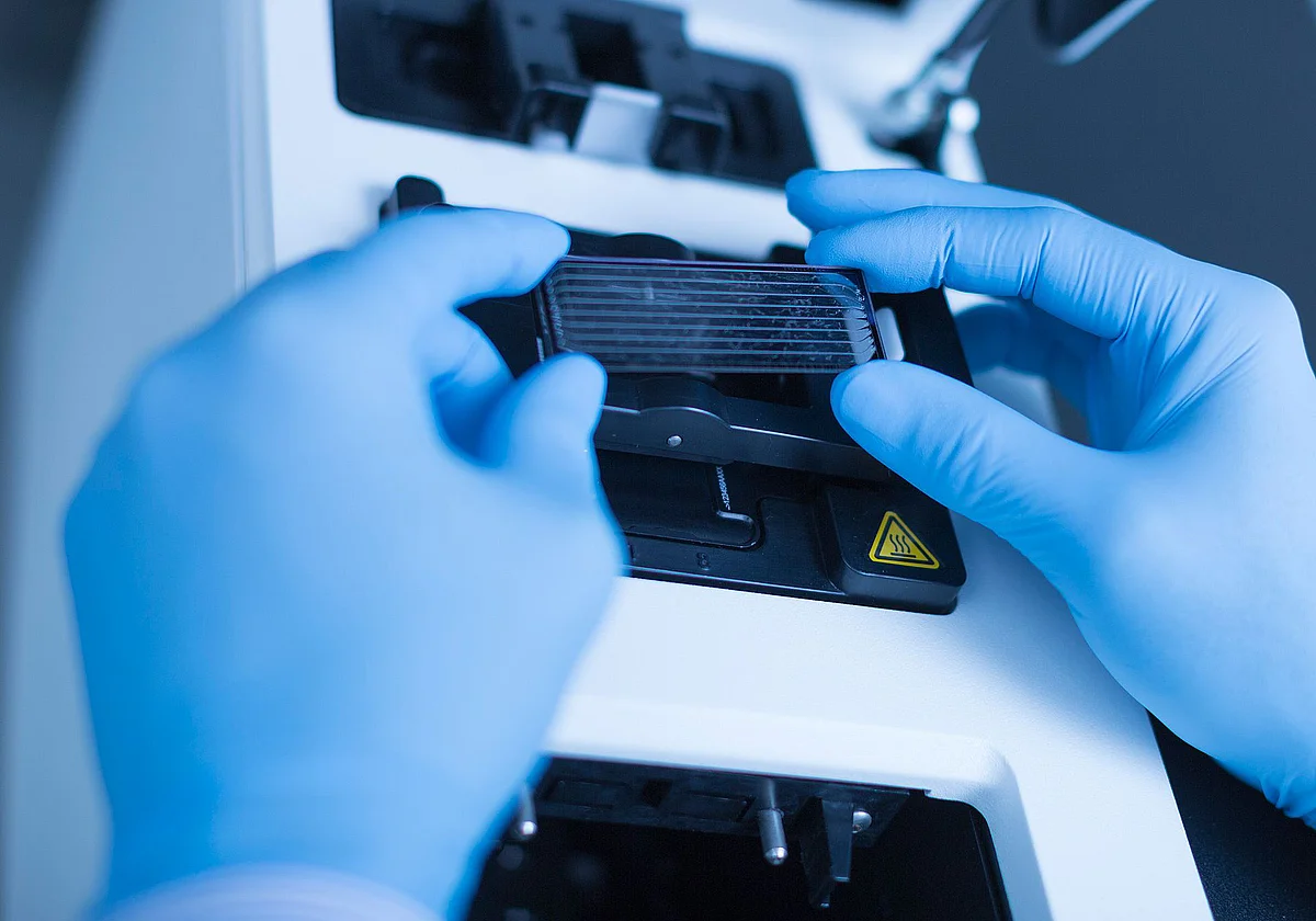 Untersuchung mit Next Generation-Sequencing