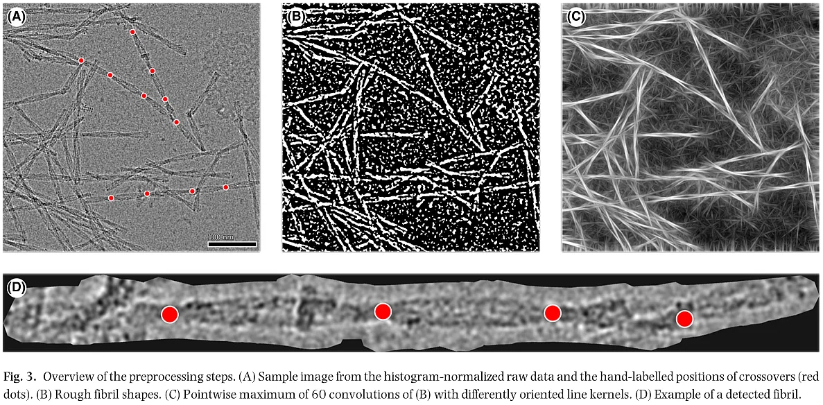Process of fibril crossover detection.