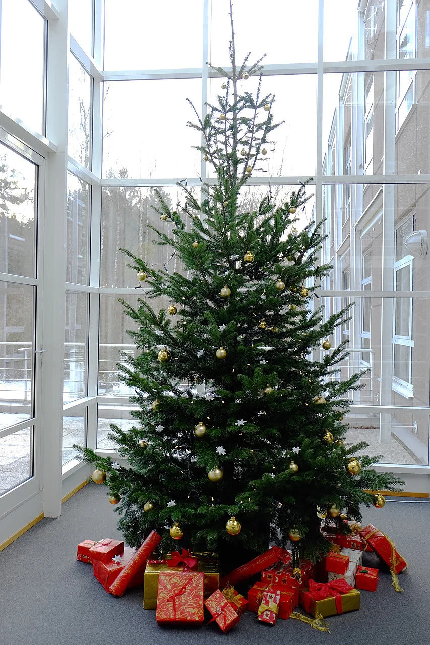 Weihnachtsbaum in der Zentralen Universitätsverwaltung (Foto: Uni Ulm)