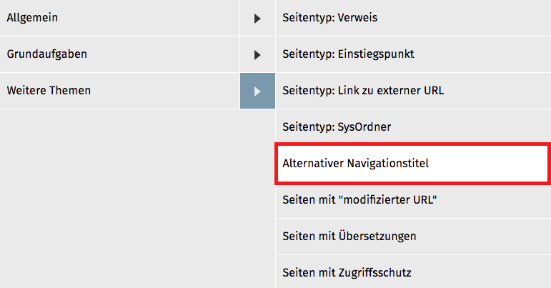 Frontendansicht alternativer Navigationstitel Frontendansicht alternativer Navigationstitel
