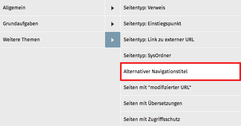Frontendansicht alternativer Navigationstitel
