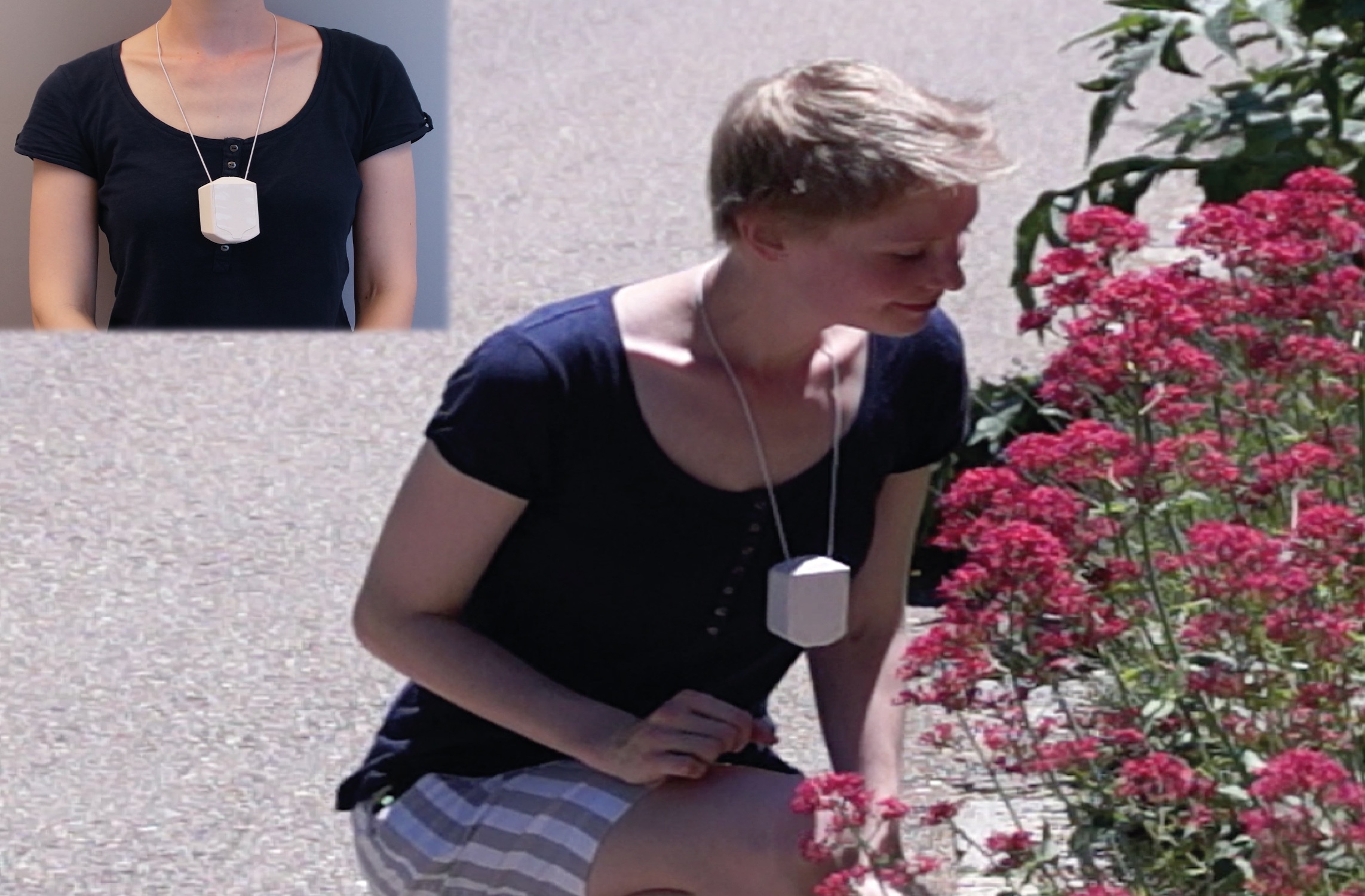 flowers flowers