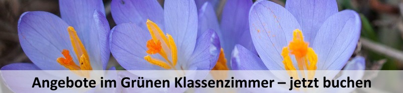 Fotobanner mit Krokussen und Schriftzug: Angebote im Grünen Klassenzimmer - jetzt buchen