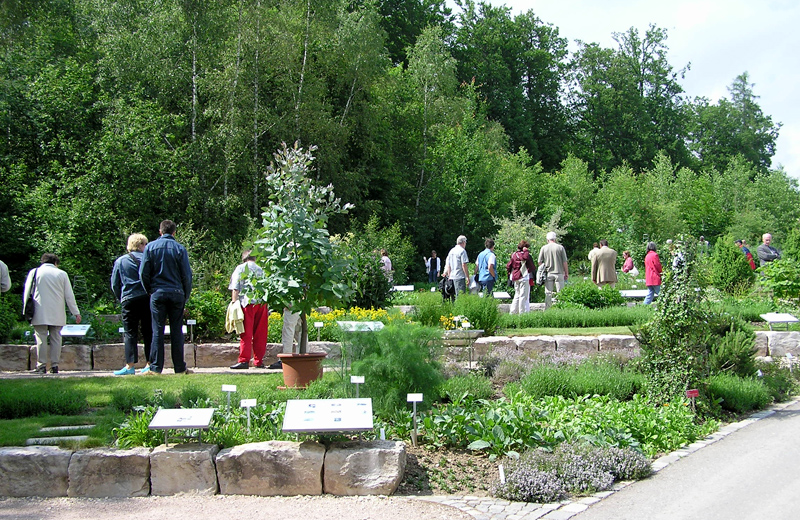 Apothekergarten mit Besuchern.