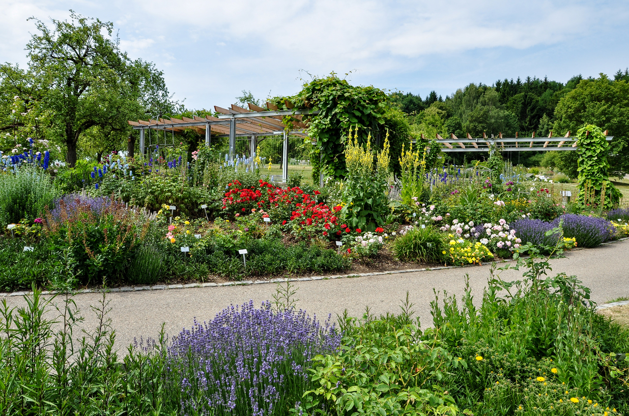 Blick auf das Rosarium