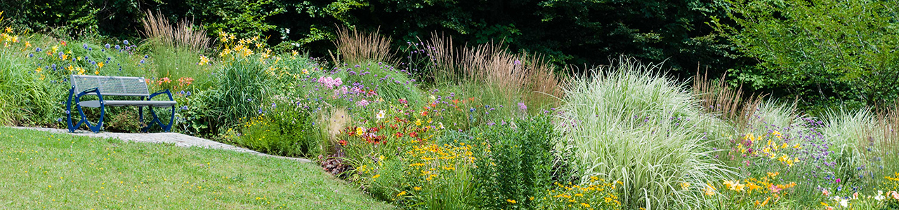 Blick in den Tagliliengarten mit blühenden Taglilien, Begleitstauden und Sitzmöglichkeit. 