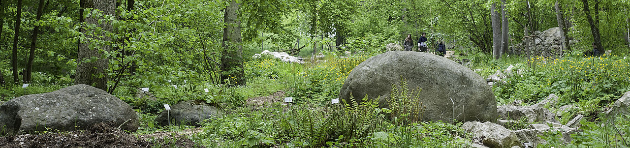 Botanischer Garten Universitat Ulm