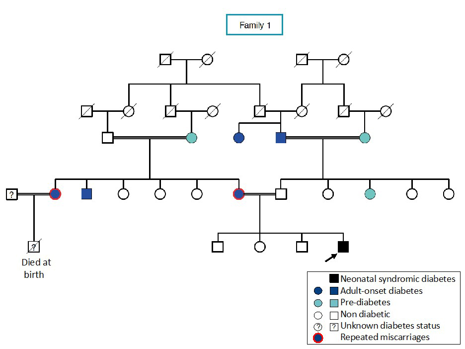 Family tree of the index family