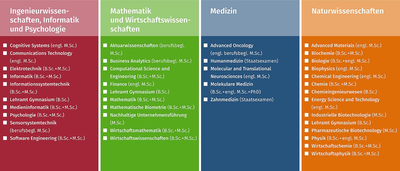 uni ulm kumulative dissertation