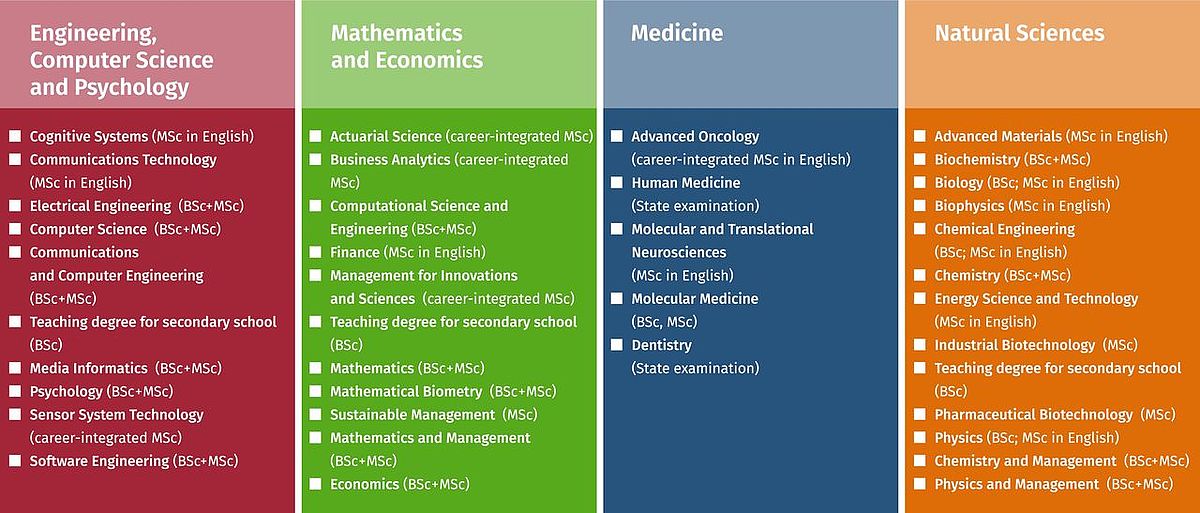 phd candidate in german