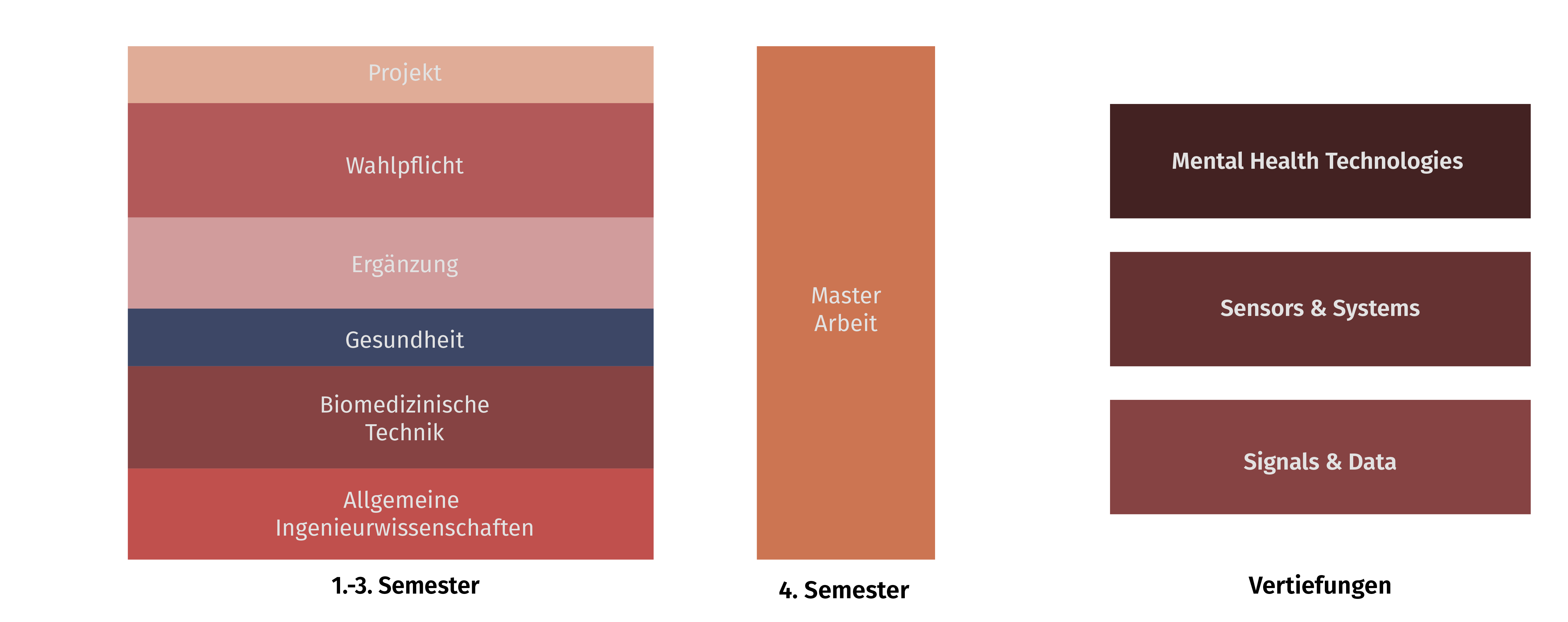 Studienplan MSc Medizintechnik Uni Ulm