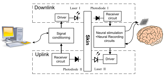 Block Diagram of the bidirectional optical transcutaneous link for brain machine interfaces Figure - Block Diagram of the bidirectional optical transcutaneous link for brain machine interfaces