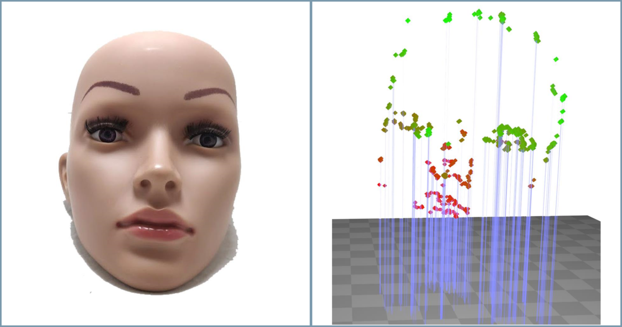 Illustration of the gaze-scan of a mannequin's head.