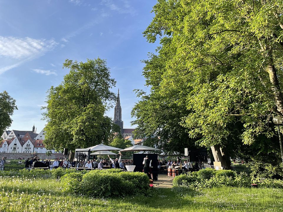 Blick auf Ulm