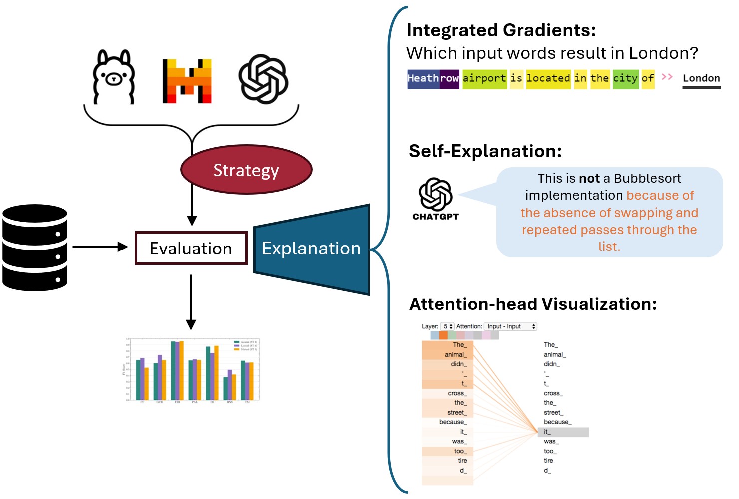 B/M: LLM Explainability in Algorithm Detection