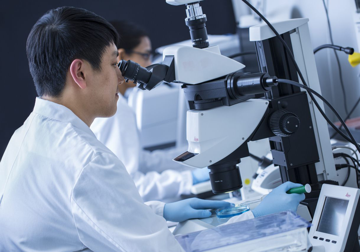 Microscope in a research lab