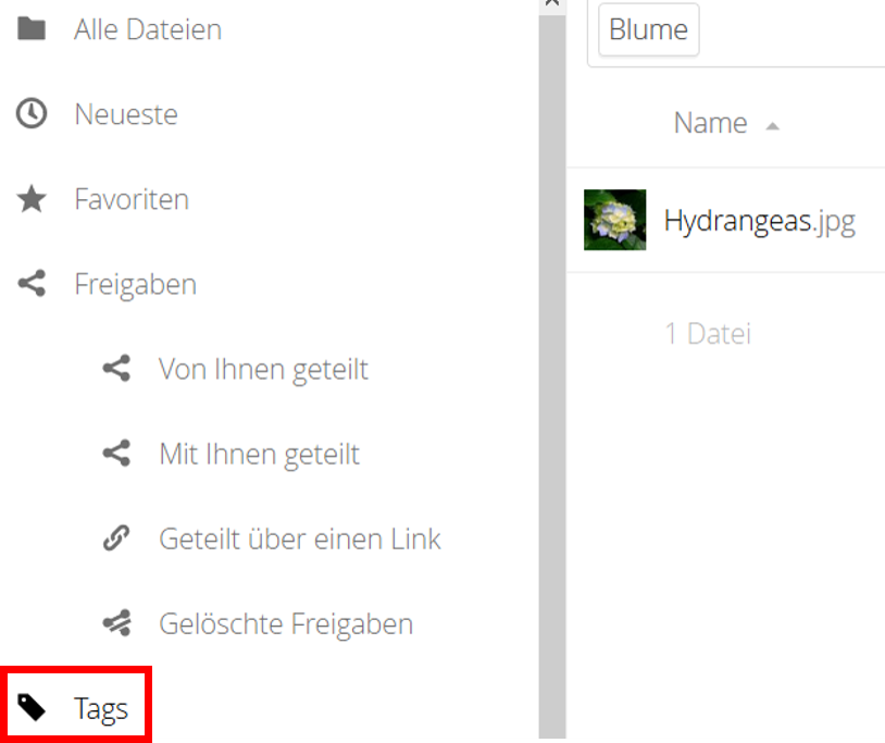 (3) Search with tags