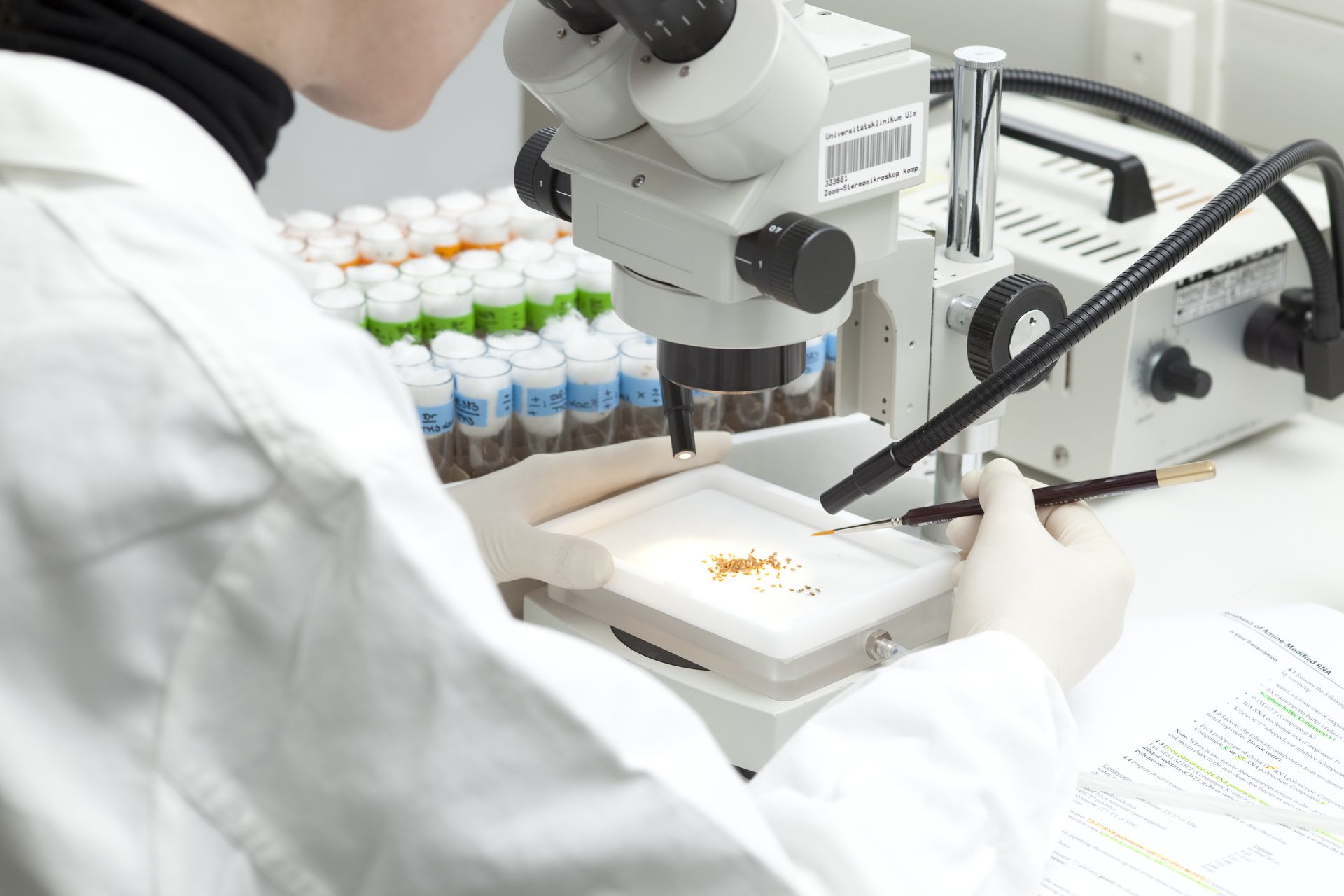 Eine Person schaut in ein Mikroskop.